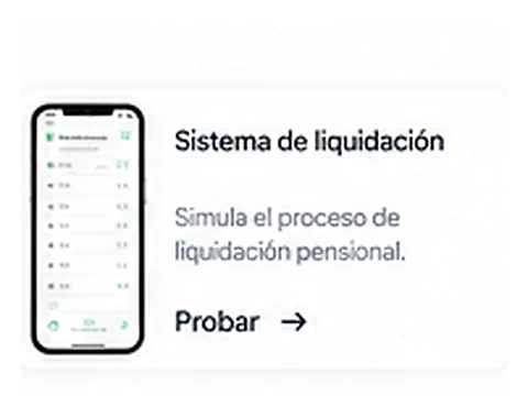 Sistema de liquidación